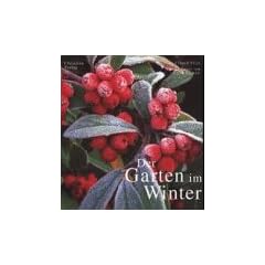 Der Garten im Winter