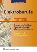 Bildungsverlag Eins Elektroberufe. Lernfeld 12