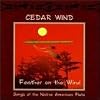 Feather on the Wind