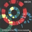 Stereopathetic Soulmanure