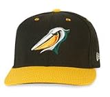 Minor League Baseball Cap - Mrytle Beach Pelicans Batting Practice Cap by New E