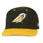 Minor League Baseball Cap - Mrytle Beach Pelicans Batting Practice Cap by New E
