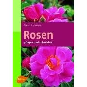 Rosen pflegen und schneiden