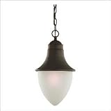 60250-814 - SeaGull Lighting Ashton Place Outdoor Pendant