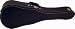 Search Our Specialty Mall : Chipboard Case for Amigo 1/2 Size Classical Guitar