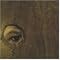 get into the musical mind of a culturally alienated musician