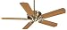 Search Our Specialty Mall : Hunter 54" Energy Star Ceiling Fan Paramount XP Antique Brass 23247