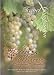 Hidden Wineries Southern California Travel Companion