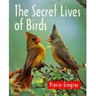 The Secret Lives of Birds