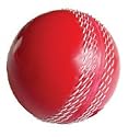 Soft PVC Practice Cricket Ball Red
