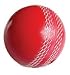 Soft PVC Practice Cricket Ball Red