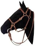 Toowoomba 7/8 Halter Bridle