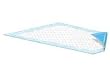 Champion Blue Disposable Underpads (Chux), Large Size 23 x 36, Pk/25