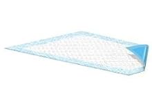 Blue Disposable Underpads (Chux), Small Size 17 x 24, Case/100