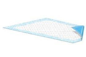 Blue Disposable Underpads (Chux), Small Size 17 x 24, Case/100