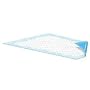 Champion Blue Disposable Underpads (Chux), Small Size 17 x 24, Pk/25