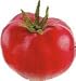 TOMATO Fake Food