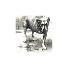 Alice in Chains