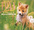 Foxy―キタキツネの四季 (TOUCH BOOKS)