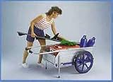 216WMN4F71L. SL160  Foldit Marine Cart