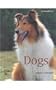 Dogs (Animal Ways)