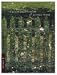 Books : Alyson Shotz: A Slight Magnification of Altered Things (Opener)