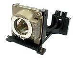 Replacement Lamp for DS650,DX650,DS660,DX660,PE7800 Projector
