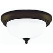 Westinghouse Lighting 64291 Ceiling Fixture