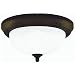 Westinghouse Lighting 64291 Ceiling Fixture