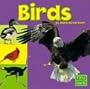 Birds (First Facts: Exploring the Animal Kingdom)
