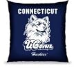 NCAA Sports Connecticut Huskies 18X18 Souvenir Pillow - College Athletics Fan Shop Merchandise