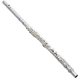 Jupiter Model 1317SE diMedici Series Alto Flute, Model 1317Se W/ Straight Head