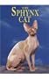 The Sphynx Cat (Learning about Cats (Capstone))