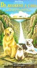 Homeward Bound: The Incredible Journey (De Regreso a Casa) by Walt Disney Video