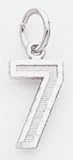 Small #7 Charm - WSN07