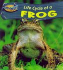 Life cycle of a frog