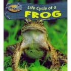 Frog (Take-off!: Life Cycle Of...)