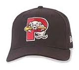 Portland Sea Dogs Home Cap by New Era