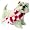 West Highland White Terrier