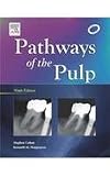 Produkt-Bild: Pathways of the Pulp