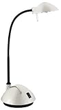 LAMP HALOGEN DESK 20W