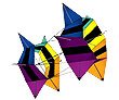SpinBox&Acirc;&reg; Nylon Rotating Box Kite: Revolution by X-Kites