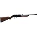 Crosman 760 Pump Master Variable Pump BB Repeater/Single Shot Pellet Rifle