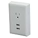 Automotive : RCA WP2UWR USB Wall Plate