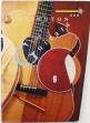 Ferrington guitars : featuring the custom-made guitars of master luthier Danny Ferrington