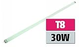 T8-Neonr�hre, 30 W, 90cm passend f. 321-006