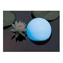 Maxsa Color-Changing Solar-Powered Globe Path Light