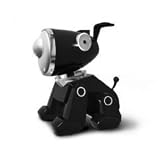 Playwell - Jeux Electronique - HipPop pet - Chien Noir