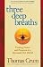 Three Deep Breaths: Finding Power and Purpose in a Stressed-Out World (BK Life (Paperback))