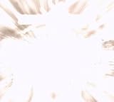  : Licht
